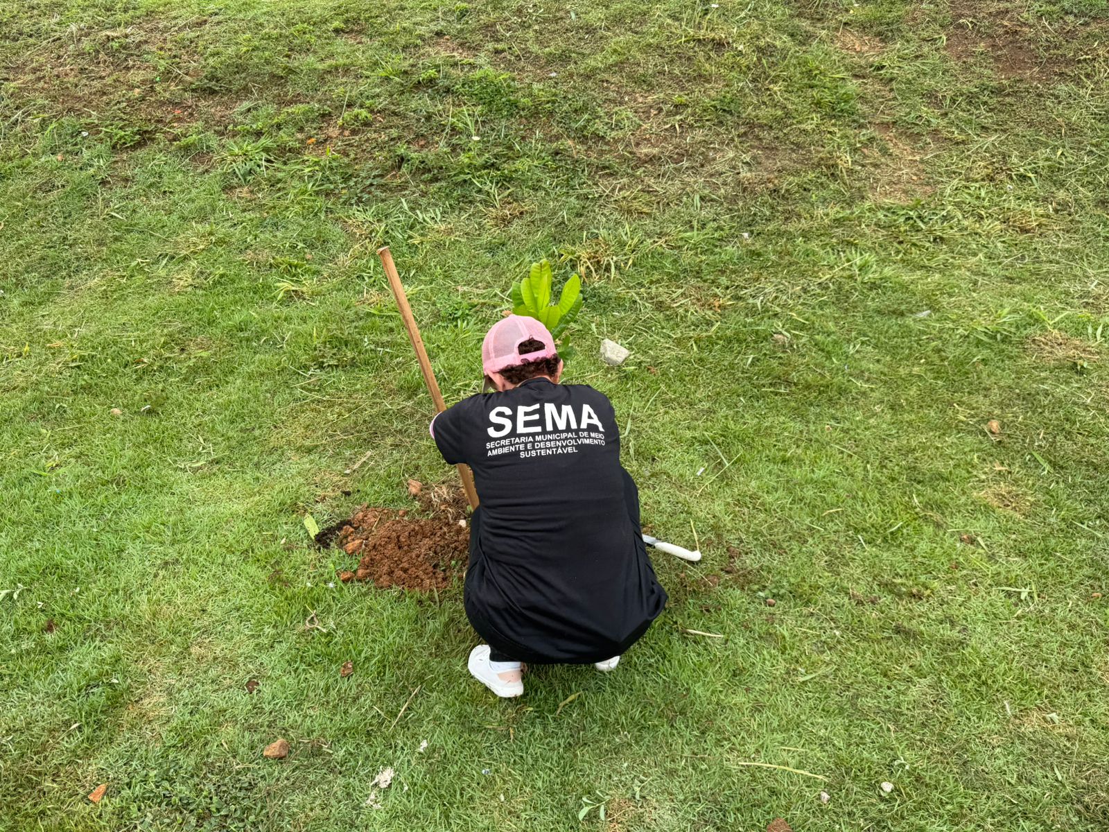 Aproximadamente 210 mudas nativas e frutíferas foram plantadas