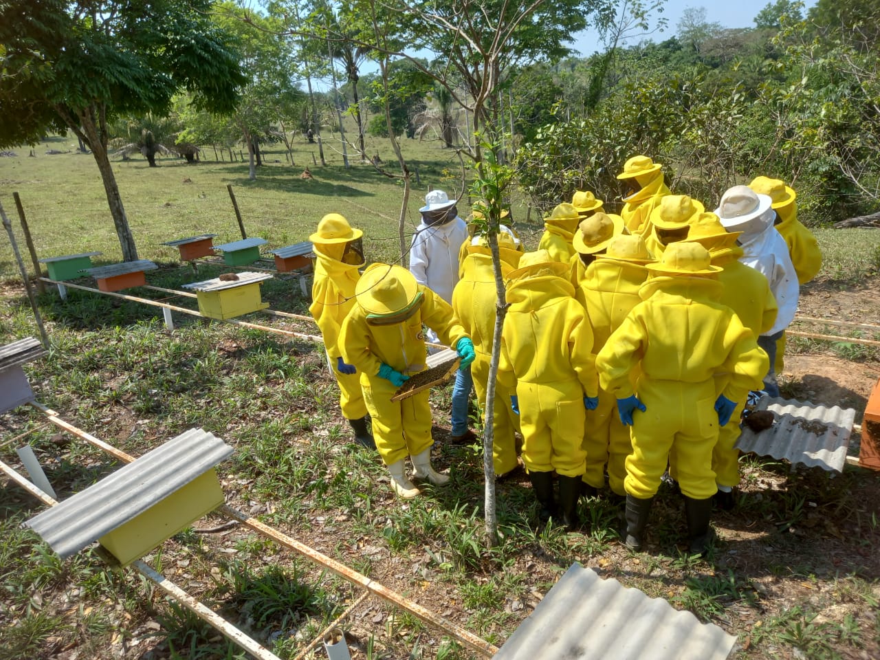 Em Porto Velho, a atividade tem ganhado cada vez mais espaço dentro da agricultura familiar